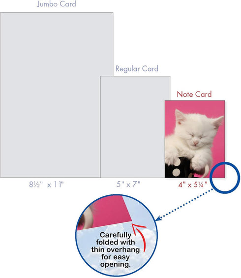 The Best Card Company 10 Adorable Blank Cat Cards (4 x 5.12 Inch) - Cute Kittens Assorted Bulk Notecard Set - Cup-Cats