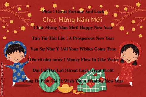 Generic 24 Pieces Vietnamese New Year Red Lucky Money Envelopes, Large Size 6.5"x3.5"
