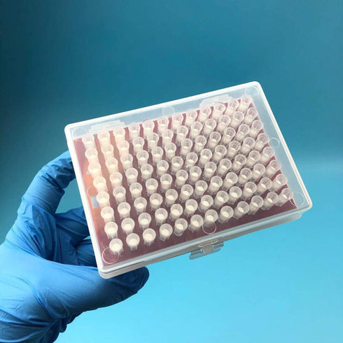 200µL Filtering Pipette Tips - Universal Filter Tips, RNase/DNase Free, Clear, 960 Tips/Rack