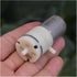 AIQFTGSNS DC 5V 6V Small Air Pump Diaphragm Vacuum Pump 370 Electronic Starter