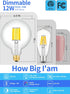 12W Dimmable Bulb 5000K G40 5 Inch 90W 900LM, E26 G125 Bulbs, Dimming CRLight LED Large Globe Daylight White Glow