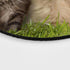 Custom Gaming Round Mouse Pad - Animals Cat Kitten Dog Golden Retriever Puppy