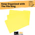 The File King Yellow File Folder - Legal Size | Box of 100 | 1/3 Cut Top Tab for Easy Paper Storage | Made in America