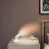 3W Dimmable 3CCT, 5.9FT LED Spotlights Indoor Uplighting with Timer, Up Plant Spotlight, Uplights Accent Lighting