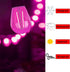 S14 Pink LED Bulb Replacement, 2W Shatterproof E26 Base, Waterproof Vintage Bulb for Christmas Party, 15 Pack