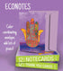 Tree-Free Greetings EcoNotes Notecard Set - 12 Count Sea Turtle and Friends with Envelopes, 4 x 6 Inches (FS66811)