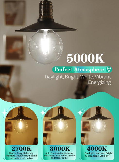 12W Dimmable Bulb 5000K 100W 1000 E26 G125(G40 Bulb OMAYKEY Oversize LED Globe Daylight White, Equivalent Lumens
