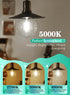 12W Dimmable Bulb 5000K 100W 1000 E26 G125(G40 Bulb OMAYKEY Oversize LED Globe Daylight White, Equivalent Lumens