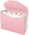 Blue Lake ECOLIFE Expanding File Folder, Pink 6 Pocket Accordion Organizer, ECO Friendly