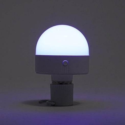 choayun E26/E27 Rechargeable 3 Color Light Bulb with Remote Control & 30/60/120 Minutes