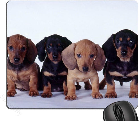 Dachshund Puppies Mouse Pad, Dogs Mousepad