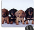 Dachshund Puppies Mouse Pad, Dogs Mousepad
