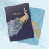 Punch Studio Boxed Thank You Card Set, Set of 10 Cards/Envelopes, Peacock