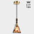 6"x11.5" 15"-72" E26 Modern Amber Glass Pendant Light, Floral Bell-Shaped Hanging Light with Wood Handle & Brass Cap