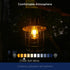 ST19 Bulb, 8W (100W 1400LM,Vintage E26 2700K 2Pack FLSNT Dusk to Dawn Outdoor Sensor LED Light Eqv.), Filament Base