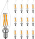 LiteHistory E12 Dimmable LED Bulb, 6W Equal to 60W, 2700K AC120V Candelabra Bulb, 600LM Clear, 12-Pack