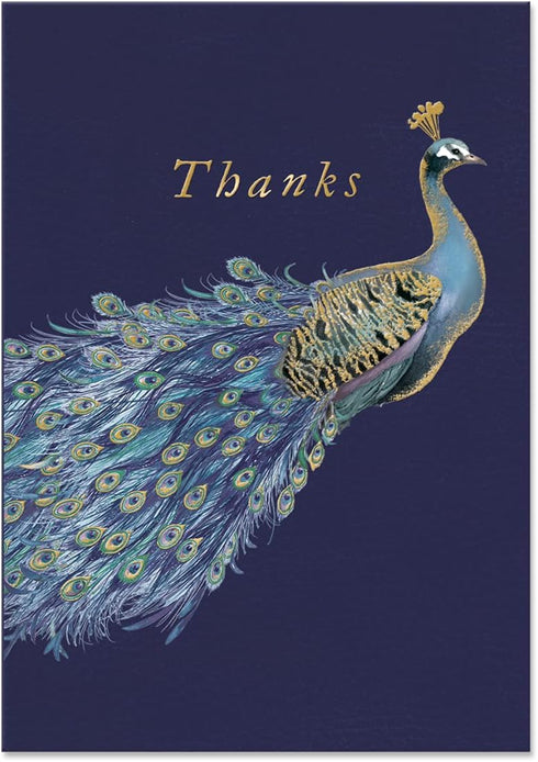 Set, Set 10 (45026) Punch Studio Boxed Thank You Card of Cards/Envelopes, Peacock Design