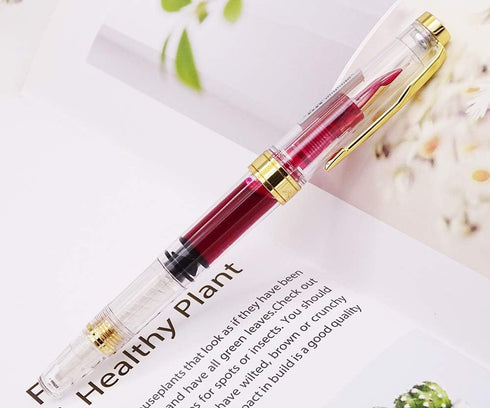 Lanxivi Yongsheng 3011 Demonstrator Clear Classical Fountain Pen, Fine Nib, Piston Filling System, Set of 4