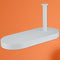 RANDOM Matte White Toilet Paper Holder with Phone Shelf, SUS 304 Stainless