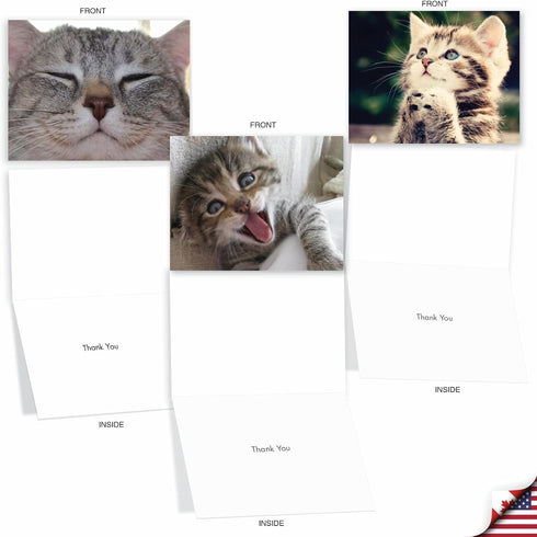 The Best Card Company 10 Assorted Thank You Notes Bulk Box Set with Envelopes (10 Designs, 1 Each) Smitten Kittens