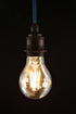 Newhouse Lighting 5W A19 Vintage Edison LED Filament Light Bulb, Dimmable, 2200K