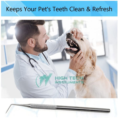 HIGH TECH INSTRUMENTS #6 (1) Dental Probe Explorer Made of Stainless Steel Reusable Tool Plaque & Tartar Remover Tooth