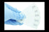 Prepared Animal Plant Cell Mitosis Meiosis Microscope Slides Set, 5pcs for Biology Class