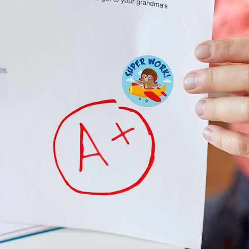 Sweetzer & Orange Reward Stickers for Teachers, 1008 Decals in 9 Designs for Classroom Supplies