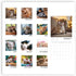 Cat Calendar 2025 with Sticker Pack - Kitten Square Large Wall Calendar 12 x 12 inch, Yearly Cat Lover's Calendar
