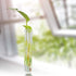 50 PCS Clear Plastic Test Tubes 5.5 x 1 inch, 40 ml with Caps & Sealing Sheets for Plants, Experiments, Candy Storage