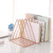 Sooyee 9 Slot Rose Gold Magazine Holder, Desktop File Sorter Organizer, Triangle Bookshelf Decor for Home Office