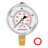 0 to 200psi Glycerin Filled Pressure Gauge: 2.5" Dial Size, Stainless Steel Case, 1/4" NPT Lower Mount