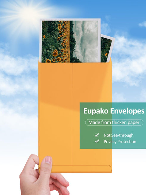 Eupako Catalog Envelopes - 6x9 Small Brown Self Seal Envelopes, 250 Pack for Mailing, Organizing, Storage
