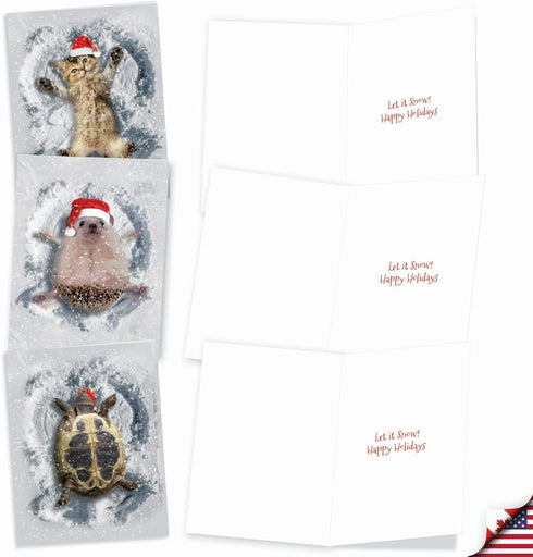 The Best Card Company Variety Pack of 10 Christmas Greeting Cards with Envelopes - Humor Holiday Assortment