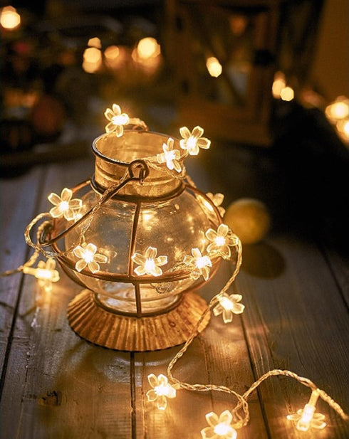 WFGGEH 10ft 20 WLD0006 Flower String Lights, LED USB Powered Cherry Blossom Fairy String Lights for Party Birthday