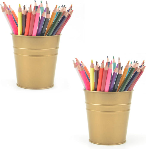 Pen Holder Cup for Desk, Metal Marker Organizer, Small Tinplate Flower Pot for Office Home Storage (2 Pack, Gold)