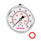 Glycerin Filled Pressure Gauge 0-160psi/kpa, 2-1/2" Dial, Stainless Steel Case, 1/4" NPT Center Back Mount