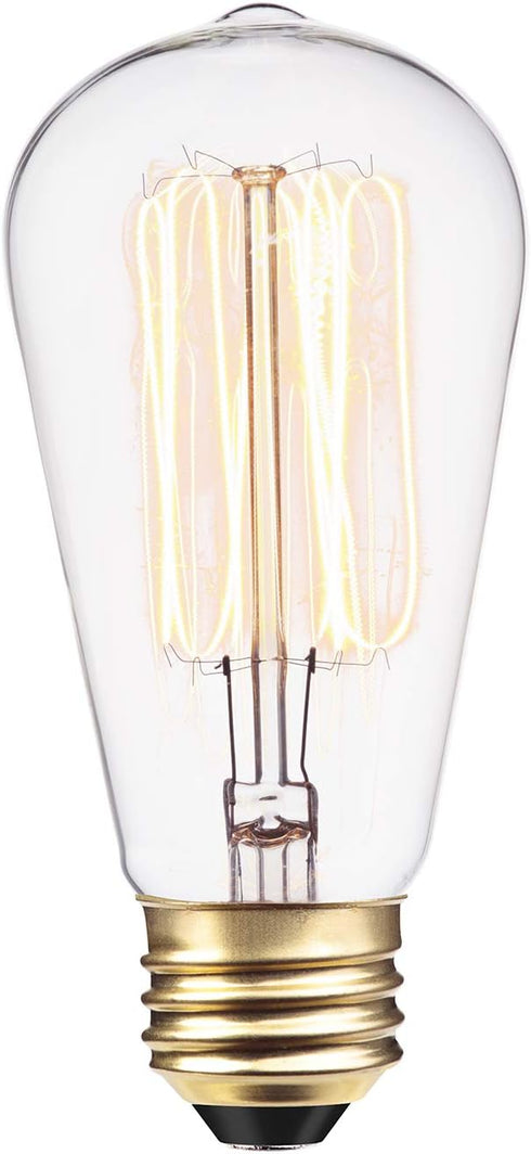 Globe Electric 01321 60W Vintage Edison S60 Squirrel Cage Light Bulb, Warm