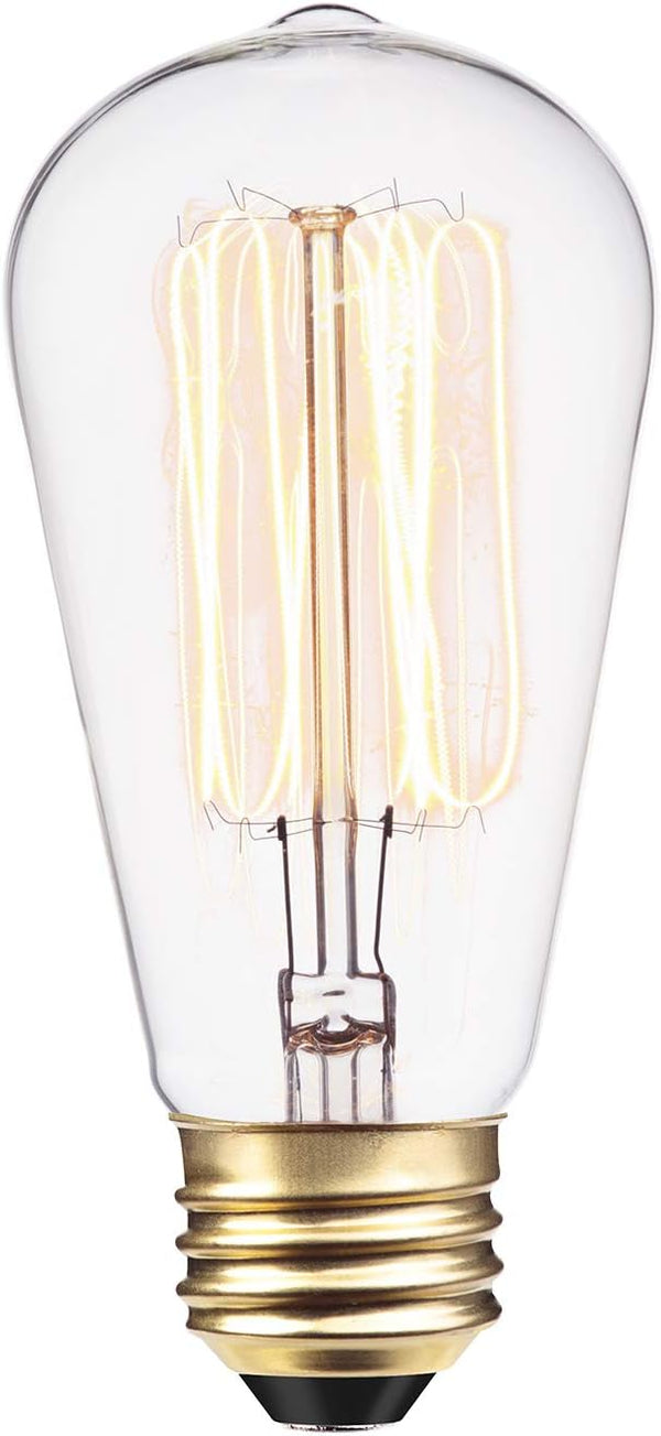 Globe Electric 01321 60W Vintage Edison S60 Squirrel Cage Light Bulb, Warm