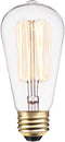 Globe Electric 01321 60W Vintage Edison S60 Squirrel Cage Light Bulb, Warm