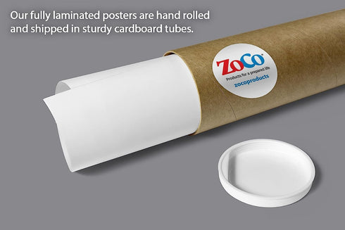 ZOCO Punctuation Marks Poster, English Grammar Laminated 17 x 22 in. for ESL and ELA Classroom Must Haves
