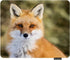 Beautiful Ginger Fox Gaming Mouse Pad, Wild Animal Cub Mum Non-Slip Rubber Mouse Pad for Computers, 9.5 Inch x 7.9 Inch
