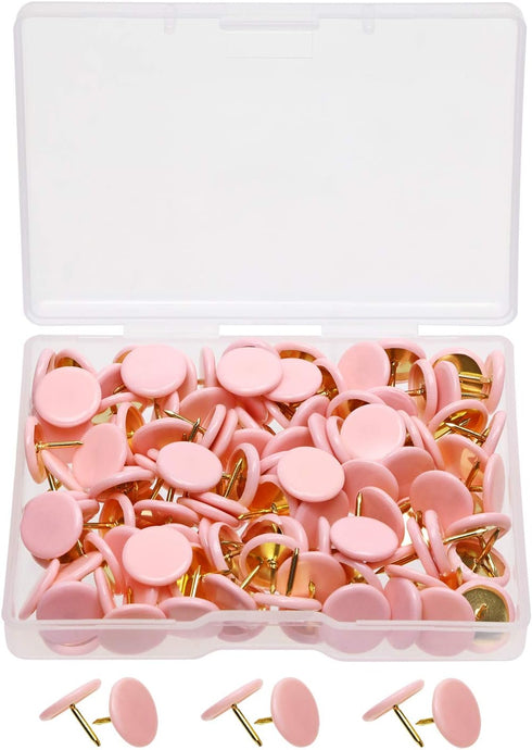 Tupalizy 120PCS Flat Plastic Round Head Map Thumb Tacks, Push Pins with Steel for Hanging Art, DIY Craft (Light Pink)