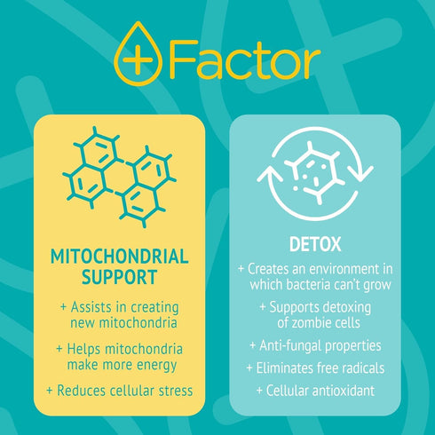 Plus Factor Cellular Boost Complex, 3% USP Grade Methylene Blue & Silver Nano Particles