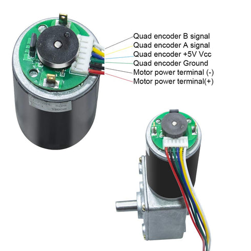 12V 110 Encoder DC Turbo Worm Gear Motor High Speed RPM Reversible with Encoder and Cable for Robot, Toys, Intelligence