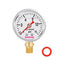 Glycerin Filled Fuel Pressure Gauge 0-15psi, 1-1/2" Dial Size, 304 Stainless Steel Case, 1/8" NPT Lower Mount.