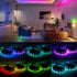 WS2812B 5050SMD 16.4FT 300LED 60LED/m IP30 DC5V IC RGB ECO Individual Addressable LED Strip Light, Flexible Full Color