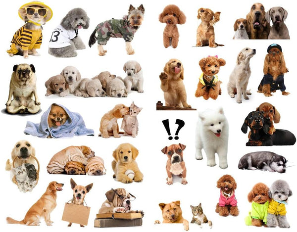 Seasonstorm Cute Dog Pet Decoration Album Planner Stickers, Scrapbooking Diary Sticky Paper Flakes (PK673)