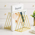 Sooyee 9 Slot Gold Magazine Holder, Desktop File Sorter Organizer, Triangle Bookshelf Decor for Home Office
