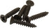 Bolt Dropper 6 X 3/4'' Black Oxide Coated Stainless Steel Flat Head Phillips Wood Screws (100 Pack)